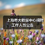 上海市大数据中心招聘工作人员公告(图2) 上海市大数据中心招聘工作人员公告(图2)