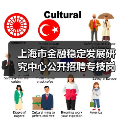 上海市金融稳定发展研究中心公开招聘专技岗位公告（图3）