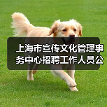 上海市宣传文化管理事务中心招聘工作人员公告(图2) 上海市宣传文化管理事务中心招聘工作人员公告(图2)