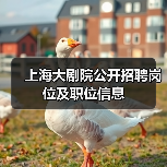 上海大剧院公开招聘岗位及职位信息(图1) 上海大剧院公开招聘岗位及职位信息(图1)