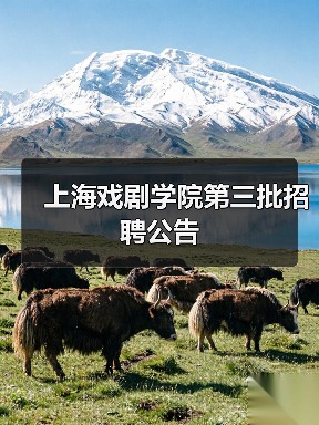 上海戏剧学院第三批招聘公告(图2) 上海戏剧学院第三批招聘公告(图2)