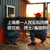 上海第一人民医院招聘研究岗,博士/高级职称应聘条件流程详解(图1) 上海第一人民医院招聘研究岗,博士/高级职称应聘条件流程详解(图1)