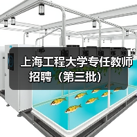 上海工程大学专任教师招聘（第三批）（图2）