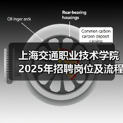 上海交通职业技术学院2025年招聘岗位及流程说明(图2) 上海交通职业技术学院2025年招聘岗位及流程说明(图2)
