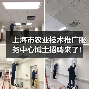 上海市农业技术推广服务中心博士招聘来了!岗位信息及报考指南(图3) 上海市农业技术推广服务中心博士招聘来了!岗位信息及报考指南(图3)