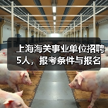 上海海关事业单位招聘5人,报考条件与报名方式全解析(图3) 上海海关事业单位招聘5人,报考条件与报名方式全解析(图3)
