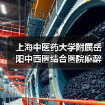 上海中医药大学附属岳阳中西医结合医院麻醉科负责人招聘公告(图3) 上海中医药大学附属岳阳中西医结合医院麻醉科负责人招聘公告(图3)