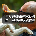 上海京剧院招聘武行演员!应聘条件及流程详解(图3) 上海京剧院招聘武行演员!应聘条件及流程详解(图3)