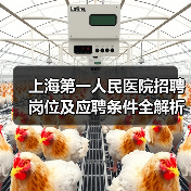 上海第一人民医院招聘岗位及应聘条件全解析(图4) 上海第一人民医院招聘岗位及应聘条件全解析(图4)