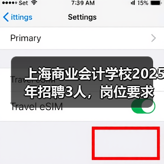上海商业会计学校2025年招聘3人，岗位要求及应聘流程详解（图4）
