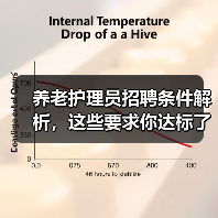 养老护理员招聘条件解析,这些要求你达标了吗?(图3) 养老护理员招聘条件解析,这些要求你达标了吗?(图3)