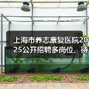 上海市养志康复医院2025公开招聘多岗位，待遇优厚（图4）