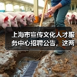上海市宣传文化人才服务中心招聘公告，这两个岗位你符合条件吗？（图4）