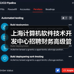 上海计算机软件技术开发中心招聘财务高级管理师岗位说明（图1）