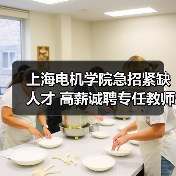 上海电机学院急招紧缺人才 高薪诚聘专任教师及技术人员（图2）