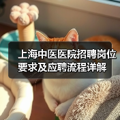 上海中医医院招聘岗位要求及应聘流程详解（图1）