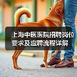 上海中医医院招聘岗位要求及应聘流程详解（图4）
