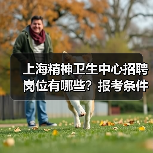 上海精神卫生中心招聘岗位有哪些？报考条件与流程全解析（图3）