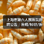 上海市第六人民医院招聘公告｜医师/科研/医务岗开放申请（图2）