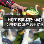 上海工艺美术职业学院公开招聘 马克思主义学院教师岗位条件及流程解析（图2）