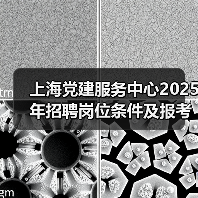 上海党建服务中心2025年招聘岗位条件及报考指南（图1）