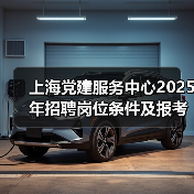 上海党建服务中心2025年招聘岗位条件及报考指南（图3）