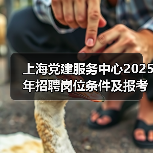 上海党建服务中心2025年招聘岗位条件及报考指南（图2）