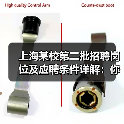 上海某校第二批招聘岗位及应聘条件详解：你符合条件吗？（图2）