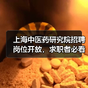上海中医药研究院招聘岗位开放，求职者必看！（图4）