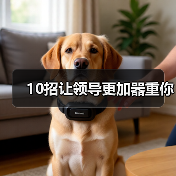 10招让领导更加器重你（图2）