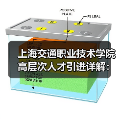 上海交通职业技术学院高层次人才引进详解：招聘流程待遇揭秘（图4）