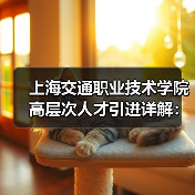 上海交通职业技术学院高层次人才引进详解：招聘流程待遇揭秘（图2）