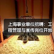 上海事业单位招聘：工程管理与宣传岗位开放，机会不容错过！（图1）