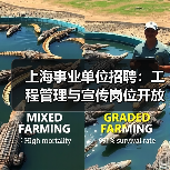 上海事业单位招聘：工程管理与宣传岗位开放，机会不容错过！（图2）