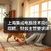 上海集成电路技术岗位招聘，财务主管要求详解（图2）