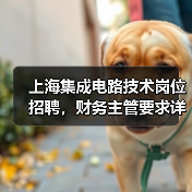 上海集成电路技术岗位招聘，财务主管要求详解（图1）