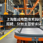 上海集成电路技术岗位招聘，财务主管要求详解（图3）