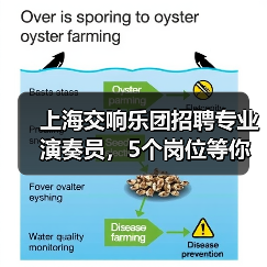 上海交响乐团招聘专业演奏员,5个岗位等你挑战!(图1) 上海交响乐团招聘专业演奏员,5个岗位等你挑战!(图1)