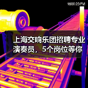 上海交响乐团招聘专业演奏员,5个岗位等你挑战!(图2) 上海交响乐团招聘专业演奏员,5个岗位等你挑战!(图2)