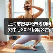 上海市数字城市规划研究中心2024招聘公告最新岗位信息(图2) 上海市数字城市规划研究中心2024招聘公告最新岗位信息(图2)