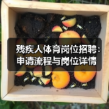 残疾人体育岗位招聘：申请流程与岗位详情（图1）